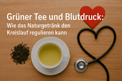 Grüner Tee und Blutdruck: Wie das Naturgetränk den Kreislauf regulieren kann